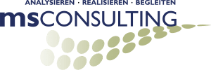Logo MS Consulting