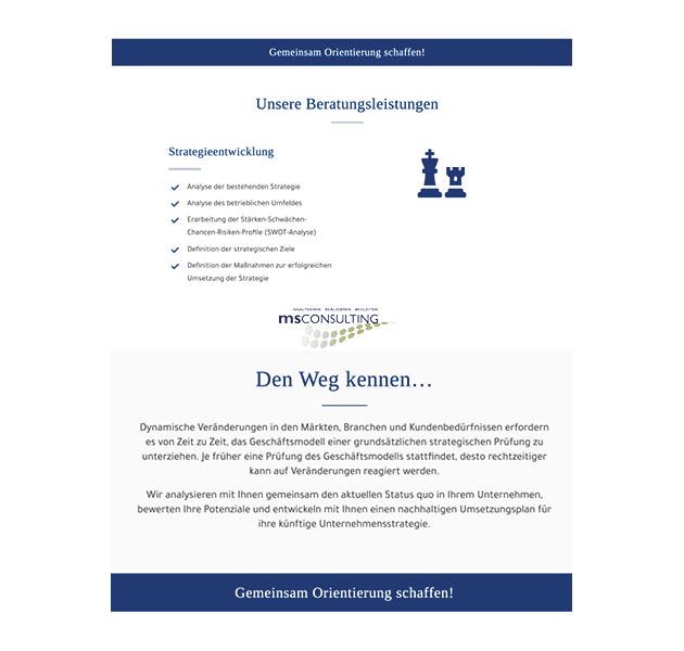Layout MS Consulting