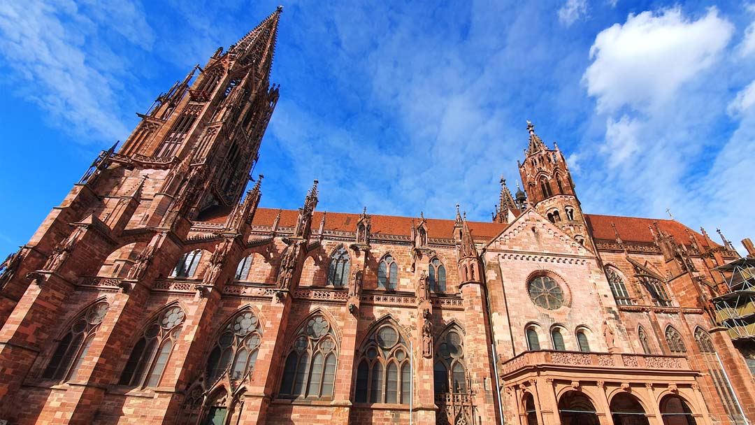 Das Freiburger Münster