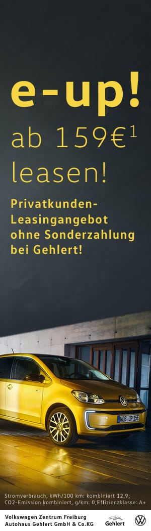 Large Skyscraper auf Google Ads