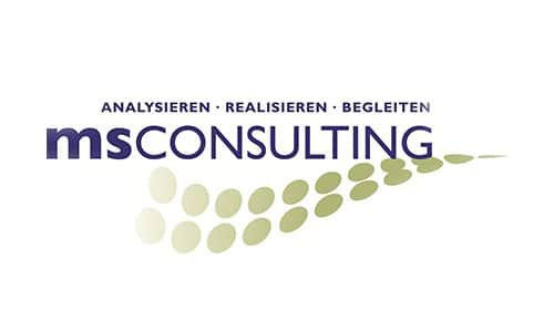 MS Consulting GmbH & Co. KG
