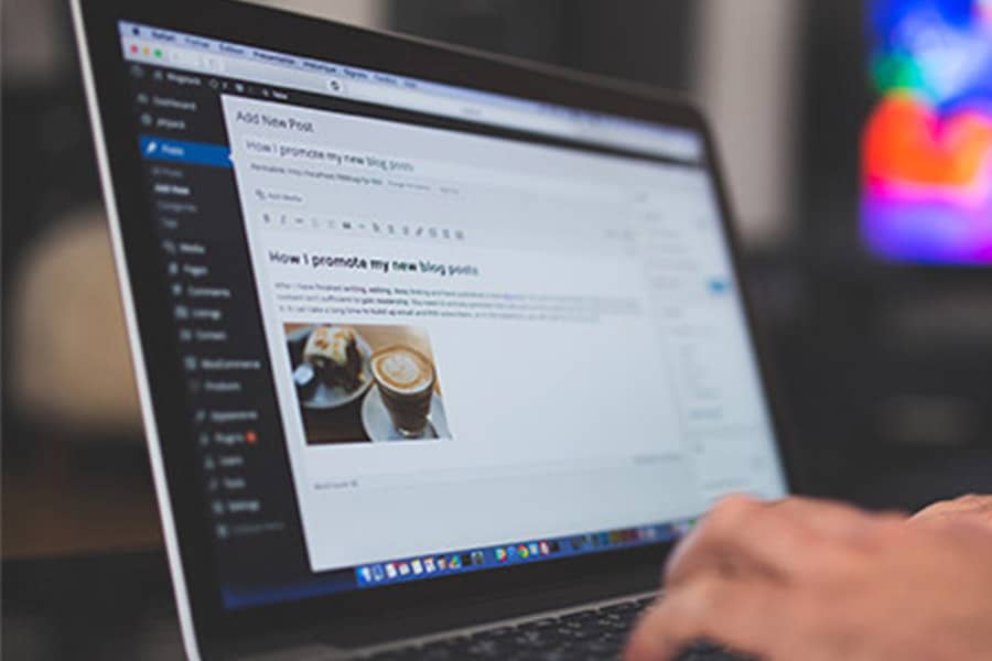 Ihr Wordpress Profi – Ihre Webagentur aus Freiburg